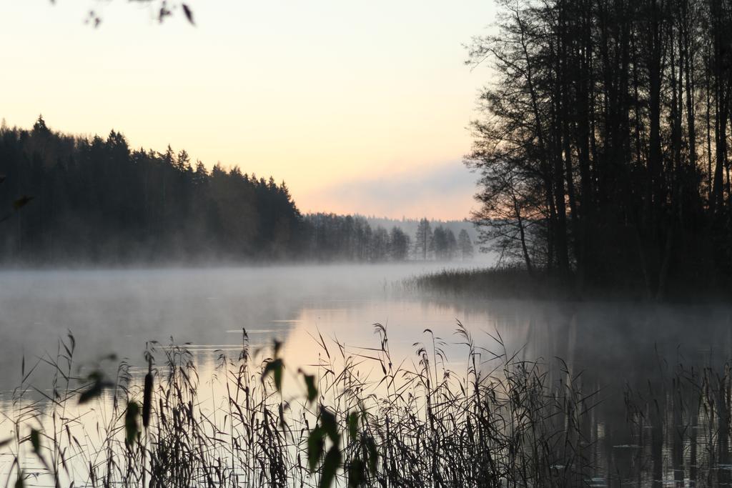 Denderi Villa Rubene Oda fotoğraf
