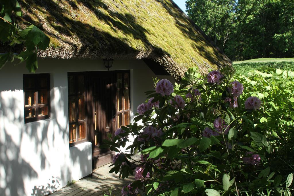 Denderi Villa Rubene Oda fotoğraf