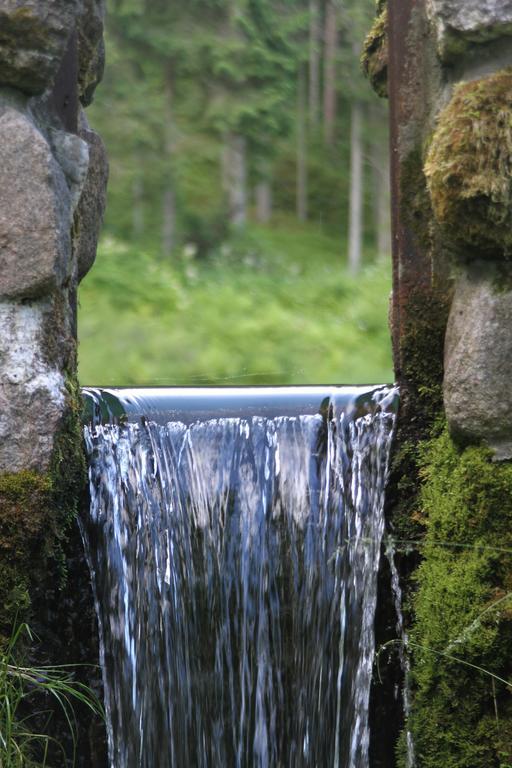 Denderi Villa Rubene Oda fotoğraf