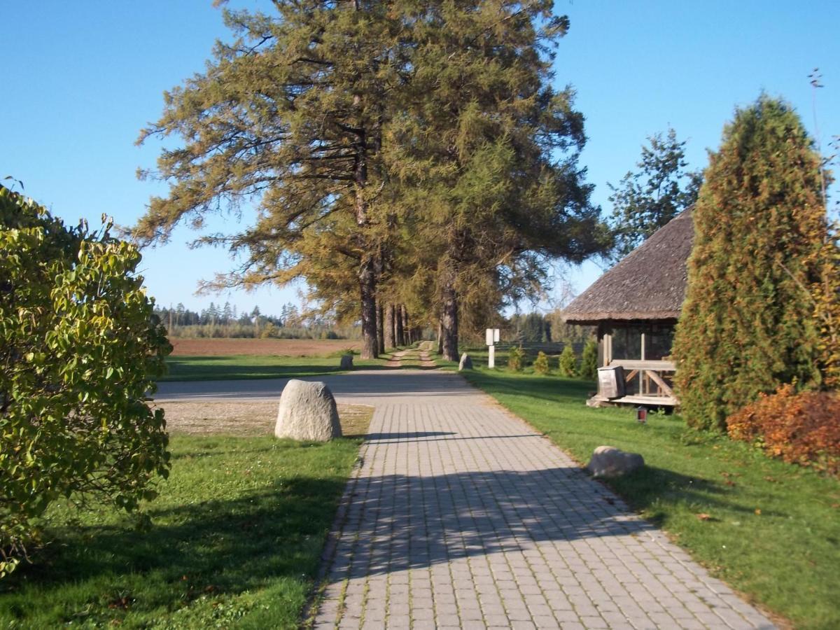 Denderi Villa Rubene Oda fotoğraf